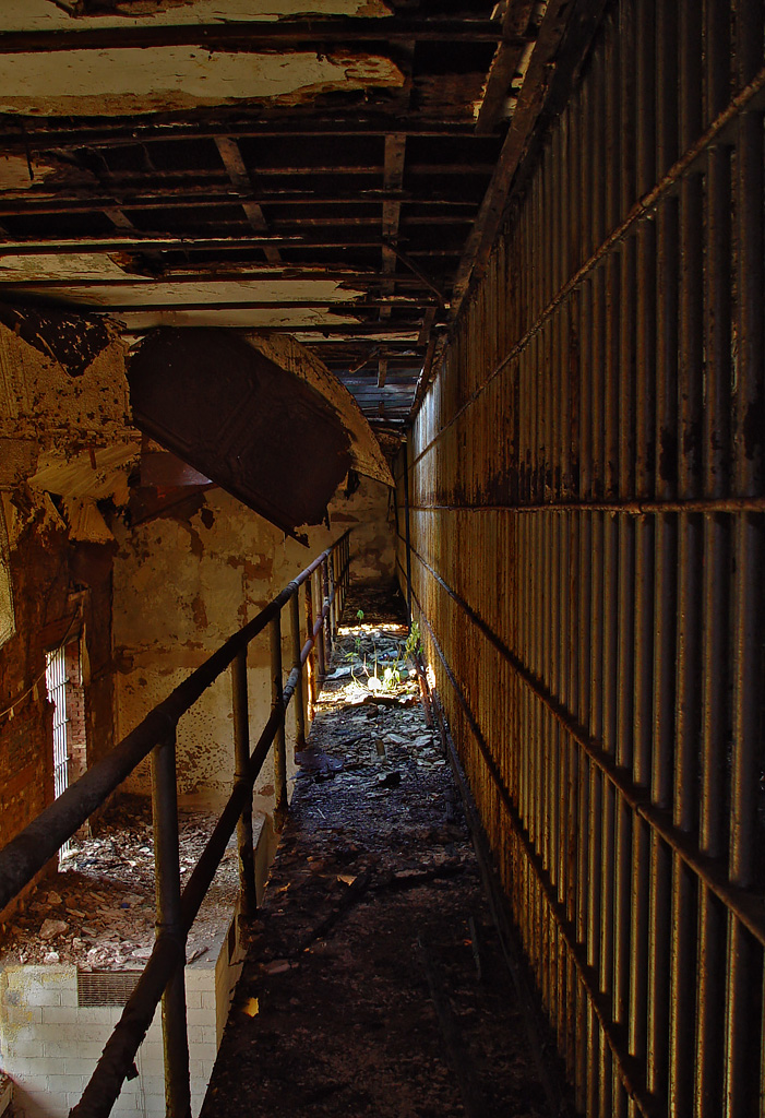 Growing Plant - Photo Of The Abandoned Old Essex County Jail