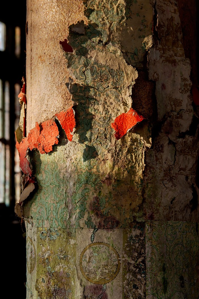 Totem of Texture - Photo of the Abandoned Pennhurst State School