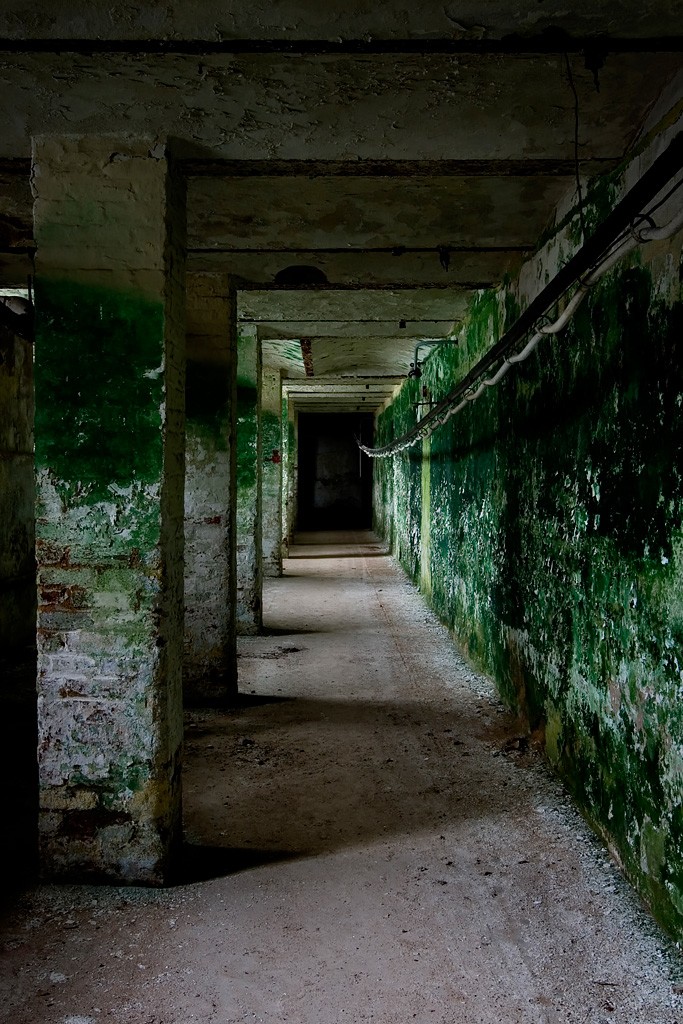 Moss Hall - Photo of the Abandoned Greystone Park Psychiatric Center